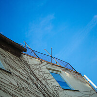 Buy canvas prints of Vertical low angle shot of a building with tree roots under a blue sky by Ingo Menhard