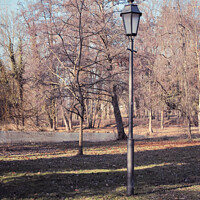 Buy canvas prints of Vertical shot of a street light and bare trees in a park by Ingo Menhard