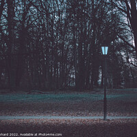 Buy canvas prints of Glowing lamp post in the park on a winter morning by Ingo Menhard