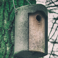 Buy canvas prints of Vertical shot of a cylindrical concrete nesting box hanging from a tree by Ingo Menhard