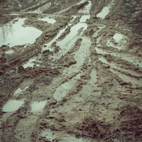 Buy canvas prints of Vertical shot of mud puddles after rain by Ingo Menhard