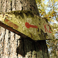 Buy canvas prints of Low angle view of an old and weathered sign on the trunk of the tree pointing to the left by Ingo Menhard