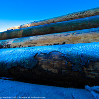 Buy canvas prints of Pile of logs covered with snow at sunset by Ingo Menhard