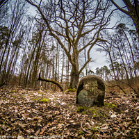 Buy canvas prints of Close up shot of a gravestone in an autumnal forest by Ingo Menhard