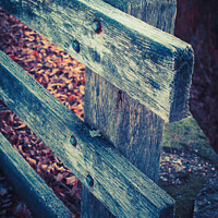 Buy canvas prints of The wooden weathered fence and dry autumn leaves in the forest by Ingo Menhard