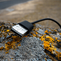 Buy canvas prints of Closeup shot of a USB cord on a moldy rock by Ingo Menhard