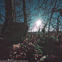 Buy canvas prints of Old border stone in a dark forest by Ingo Menhard