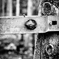 Buy canvas prints of A grayscale closeup shot of a metal part attached to tree log by Ingo Menhard