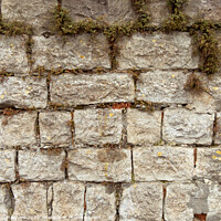 Buy canvas prints of Texture of a weathered stone wall with dry grass by Ingo Menhard