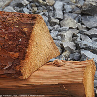 Buy canvas prints of Pieces of dry wood on a rock by Ingo Menhard