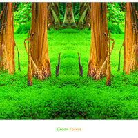 Buy canvas prints of Green Forest by Ingo Menhard