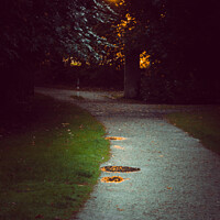 Buy canvas prints of Romantic park way in the evening by Ingo Menhard