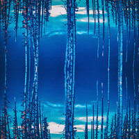 Buy canvas prints of Waterworld by Ingo Menhard
