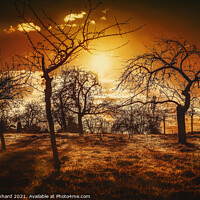 Buy canvas prints of Fading sunshine in last autumn by Ingo Menhard