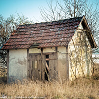Buy canvas prints of Abandoned hut by Ingo Menhard