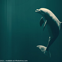 Buy canvas prints of Happy dolphin by Ingo Menhard