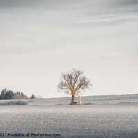 Buy canvas prints of Winter is gone by Ingo Menhard