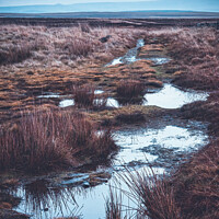 Buy canvas prints of Harsh Moorland winter, Belmont by Craig Cunliffe