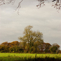 Buy canvas prints of English Autumn View by Alan Jacobs