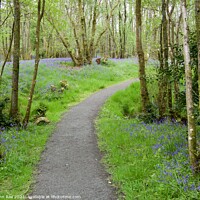 Buy canvas prints of Path through RSPB Loch Lomond by John Rae