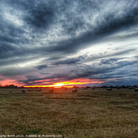 Buy canvas prints of sunset rear of the field by Degree North