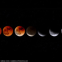 Buy canvas prints of Blood Moon Phase by Gavin Gallivan