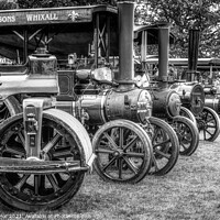 Buy canvas prints of Traction Engines on Parade by Alan Taylor