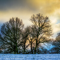 Buy canvas prints of Snow Clouds Gathering in Madeley, Staffordshire by Alan Taylor