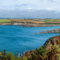 Buy canvas prints of Angle Bay, Stunning Panoramic View by Tracey Turner