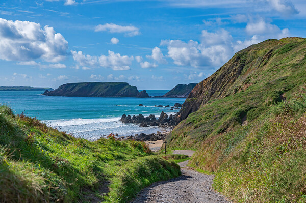 The path to Marloes Sands in Pembrokeshire  Picture Board by Tracey Turner