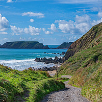Buy canvas prints of The path to Marloes Sands in Pembrokeshire  by Tracey Turner
