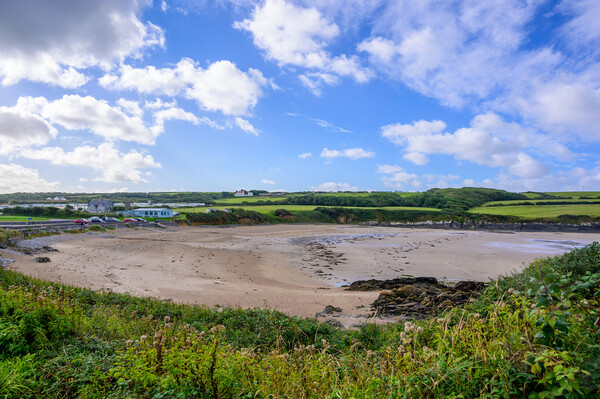 Angle Beach in Pembrokeshire Picture Board by Tracey Turner