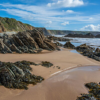 Buy canvas prints of Marvellous Marloes in Beautiful Pembrokeshire by Tracey Turner