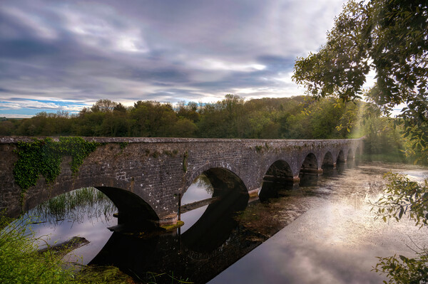 Eight Arch Bridge at Bosherston Lily Ponds Picture Board by Tracey Turner