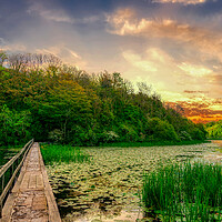 Buy canvas prints of Enchanting Sunrise at The Bosherston Lily Ponds by Tracey Turner