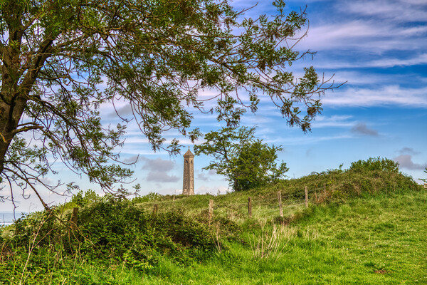 The Tyndale Monument at North Nibley Picture Board by Tracey Turner