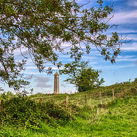 Buy canvas prints of The Tyndale Monument at North Nibley by Tracey Turner