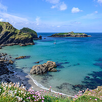 Buy canvas prints of View over Mullion Cove to Mullion Island, Cornwall by Tracey Turner