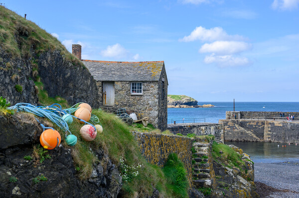The Old Cottage at Mullion Harbour in Cornwall Picture Board by Tracey Turner