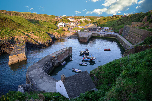 Porthgain Harbour in Pembrokeshire Picture Board by Tracey Turner
