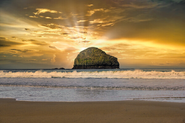 Gull Rock at Trebarwith Strand in Cornwall Picture Board by Tracey Turner