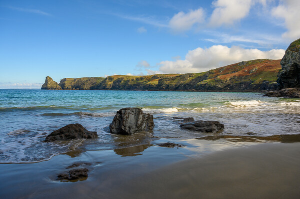 Bossiney Beach in Cornwall Picture Board by Tracey Turner