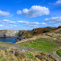 Buy canvas prints of On the Tintagel South West Coast Path by Tracey Turner