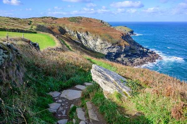 South West Coast Path to Tintagel Picture Board by Tracey Turner