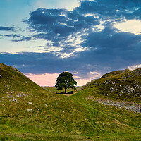 Buy canvas prints of Stunning Panoramic Sunset at Sycamore Gap, Hadrian by Tracey Turner