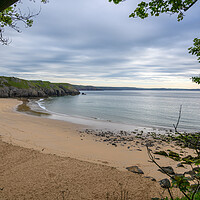 Buy canvas prints of Early Morning at Barafundle Bay by Tracey Turner