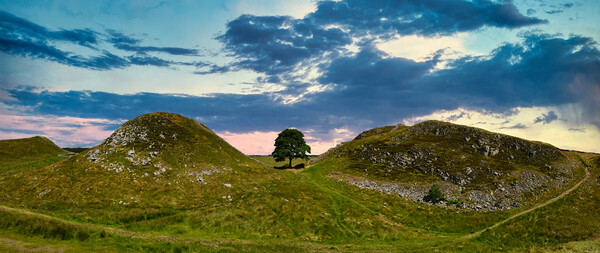 Stunning Sycamore Gap Panorama Framed Mounted Print by Tracey Turner
