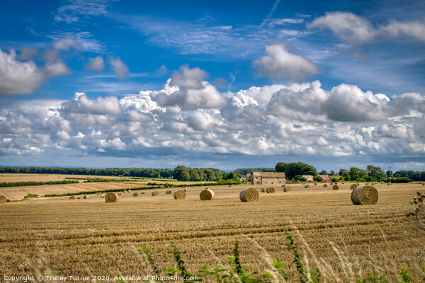 Harvest Time in The Cotswolds Picture Board by Tracey Turner
