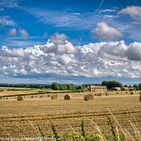 Buy canvas prints of Harvest Time in The Cotswolds by Tracey Turner