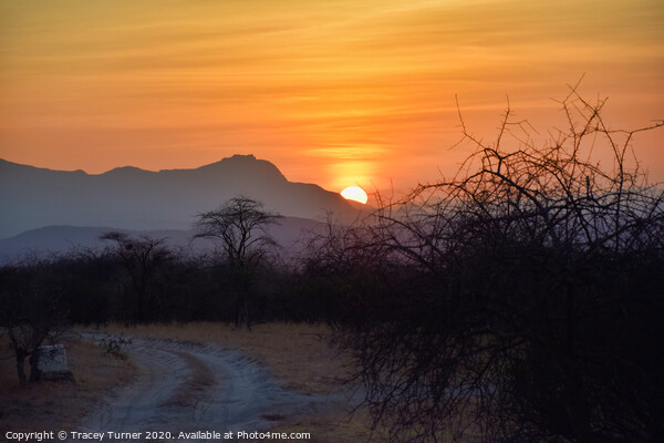 African Sunrise Picture Board by Tracey Turner